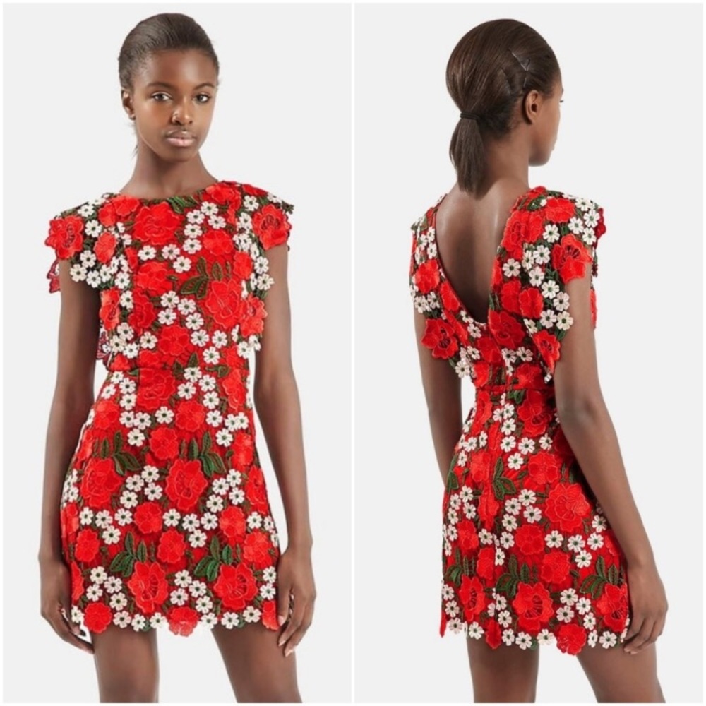 Topshop Floral Lace A-Line Dress - Size 8